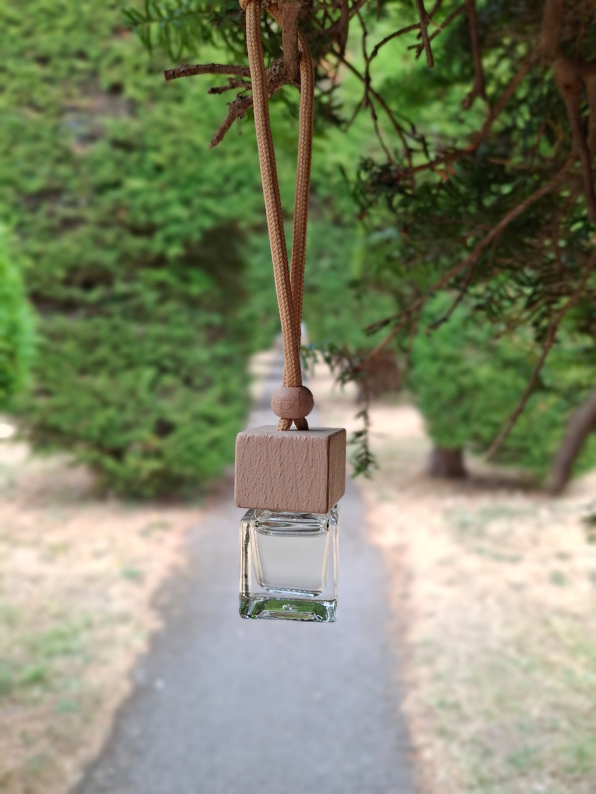 Orange Tree Air Fresheners